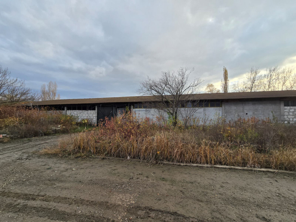 Inchiriere  HALA Industriala -Bulevardul Chimiei | 900mp | 3euro/mp 