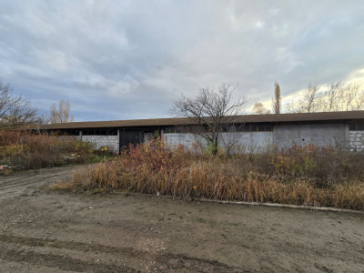 Inchiriere  HALA Industriala -Bulevardul Chimiei | 900mp | 3euro/mp 