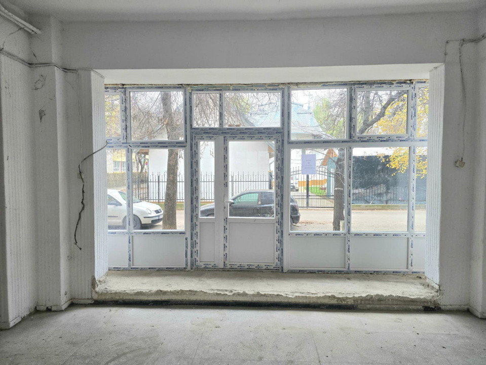 Inchiriere Spațiu Comercial Vitrat, 118 mp Nicolina - Profi