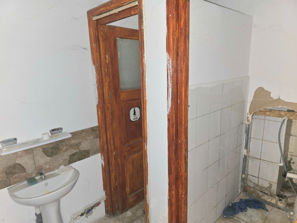 Inchiriere Spațiu Comercial Vitrat, 118 mp Nicolina - Profi