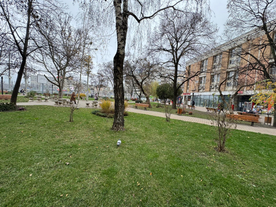 Inchiriere Spațiu Comercial Vitrat, 52 mp Podul Ros