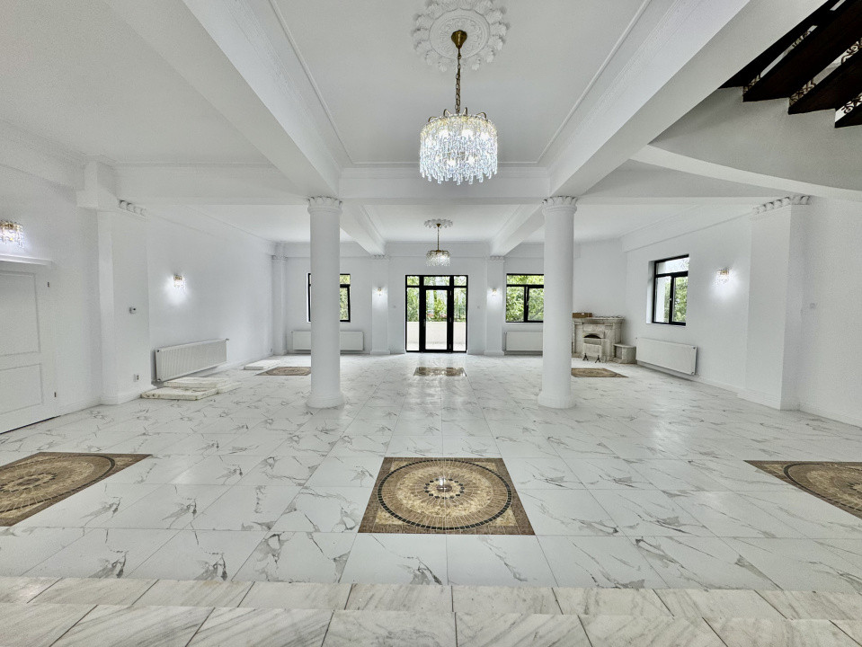 Vânzare Vilă Unicat în Copou- 1000 mp utili + 2300 teren, 15 parcări.