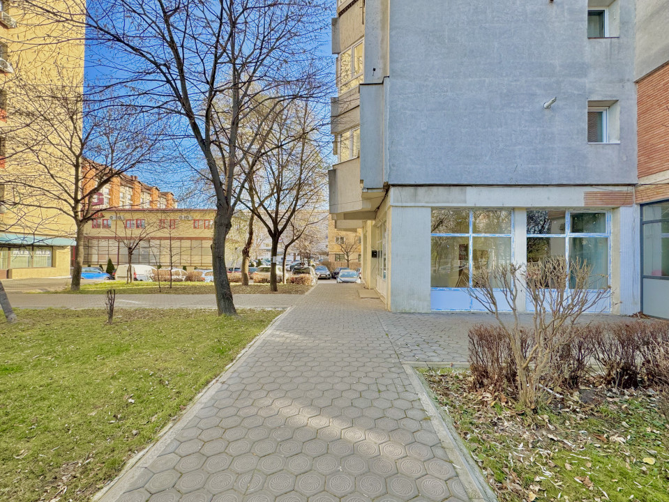 Închiriere Spațiu Comercial Nicolina- Pizza Puffy, 108 mp, 12 euro/ mp