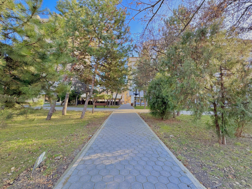 Închiriere Spațiu Comercial Nicolina- Pizza Puffy, 108 mp, 12 euro/ mp