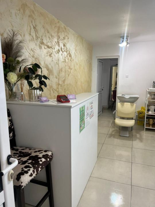 Inchiriere Spațiu Comercial Bulevardul Alexandru cel Bun - 45mp