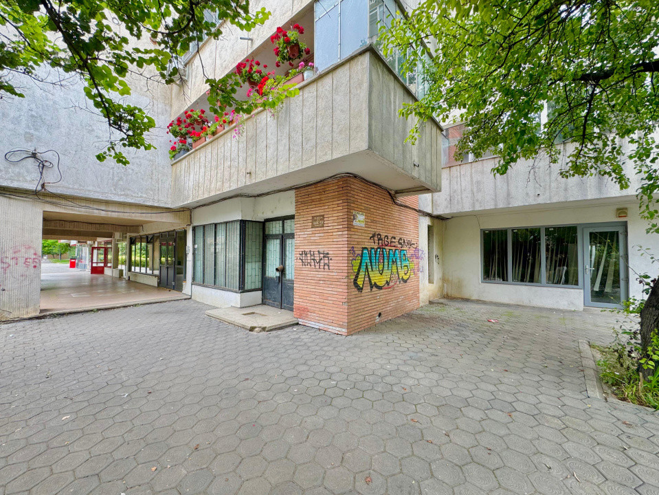 Vânzare Spațiu Comercial, 80 mp, planul 1- Nicolina- Belvedere