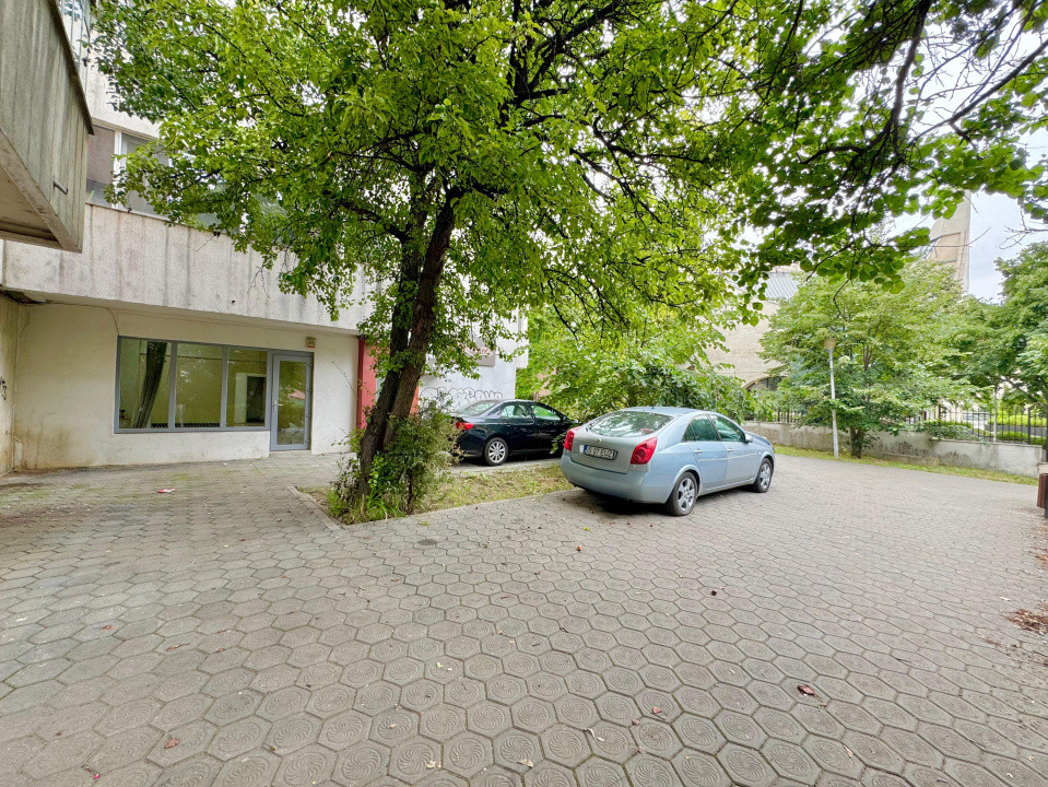 Vânzare Spațiu Comercial, 80 mp, planul 1- Nicolina- Belvedere