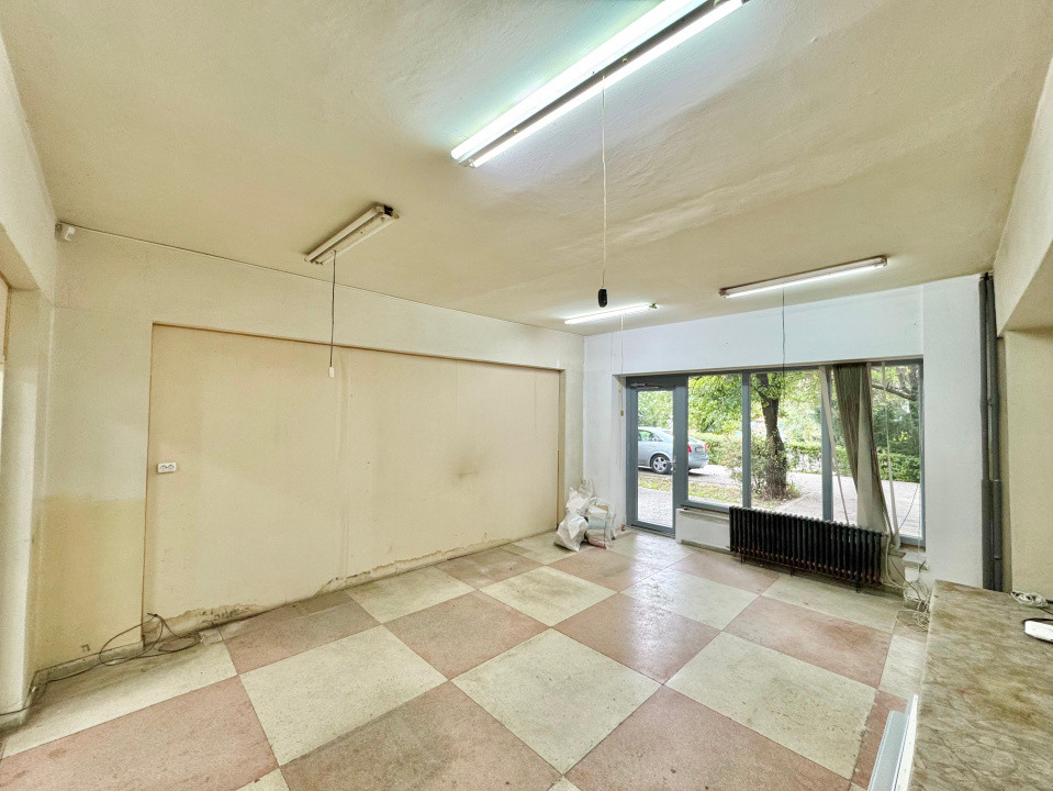 Vânzare Spațiu Comercial, 80 mp, planul 1- Nicolina- Belvedere