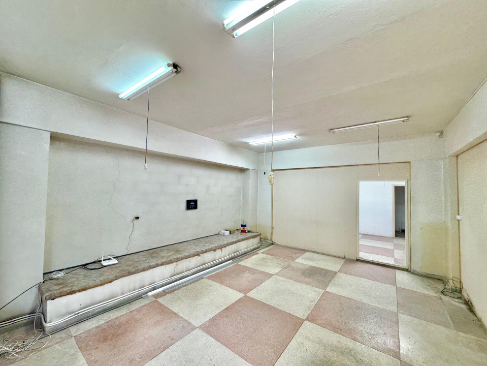 Vânzare Spațiu Comercial, 80 mp, planul 1- Nicolina- Belvedere