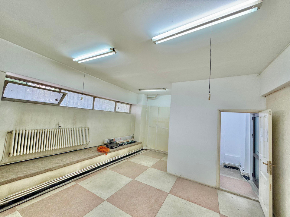 Vânzare Spațiu Comercial, 80 mp, planul 1- Nicolina- Belvedere