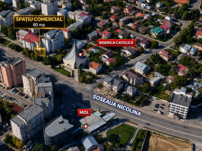 Vânzare Spațiu Comercial, 80 mp, planul 1- Nicolina- Belvedere