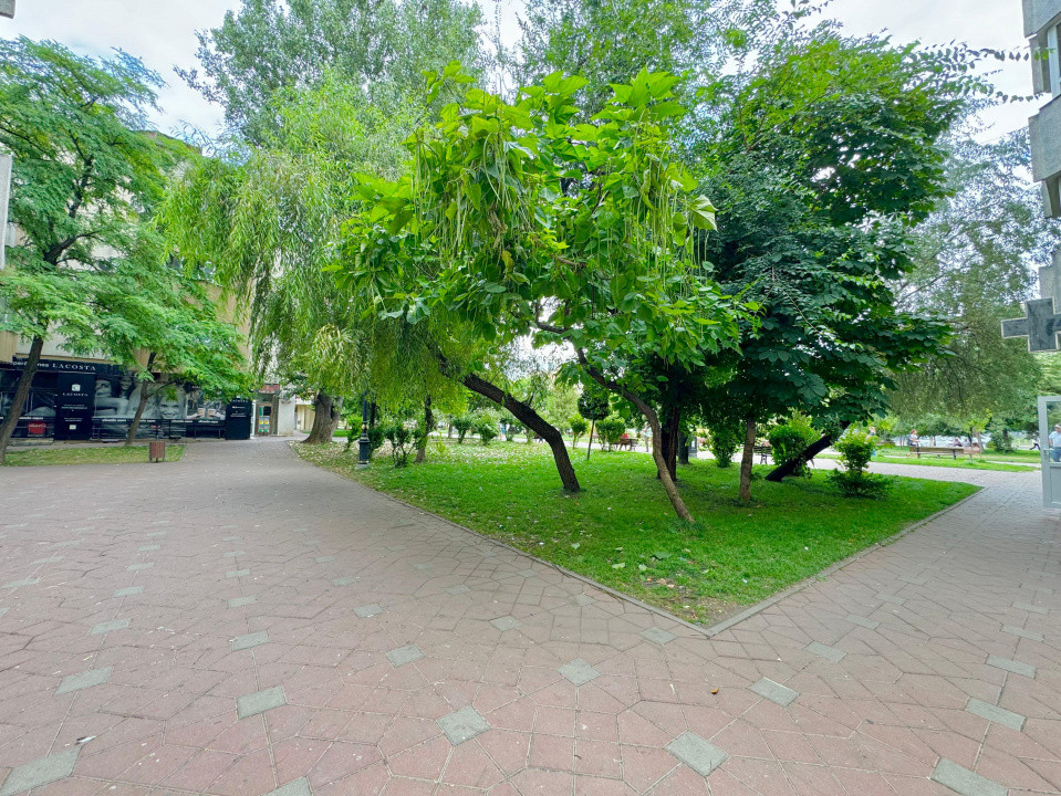 Inchiriere Spațiu Comercial Vitrat, 45 mp - Esplanada NICOLINA