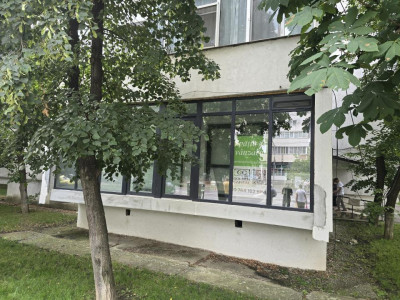Vanzare Spatiu Comercial Alexandru cel Bun | 54mp | Vitrat | Bulevard