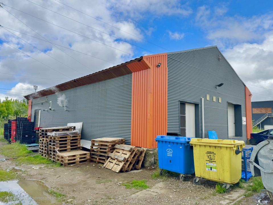Inchiriere Spatiu industrial/HALA – 234 mp , Calea Chisinaului